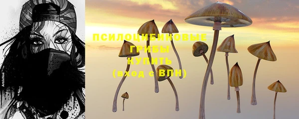 скорость Няндома