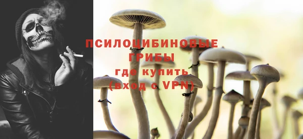 шишки Абдулино