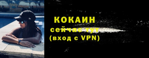 стаф Новокубанск
