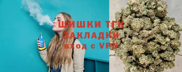 тгк Абаза