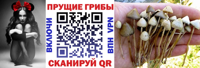 Псилоцибиновые грибы мицелий  что такое наркотик  Поворино 